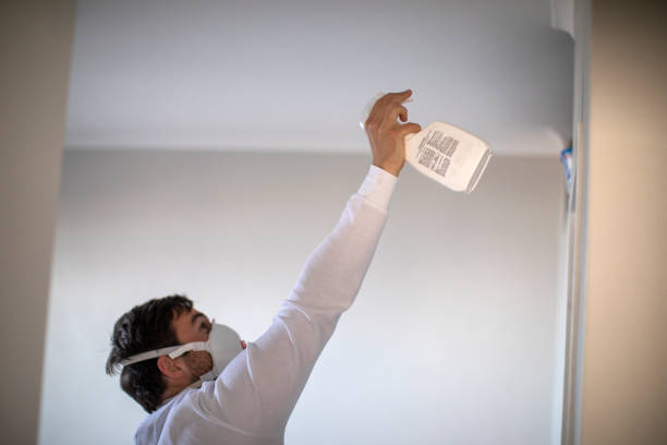 Best Toxic Mold Removal  in North Wilkesboro, NC