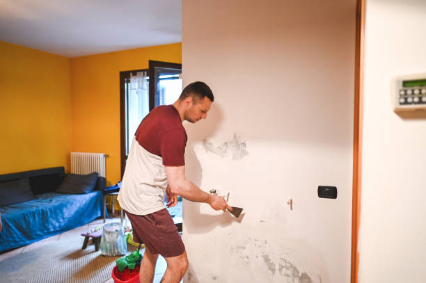 Best Mold Damage Repair  in North Wilkesboro, NC